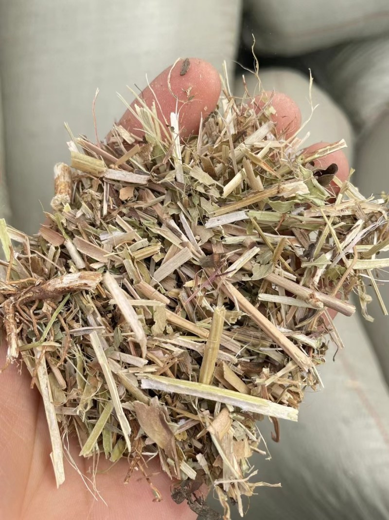 大名优质花生秧，