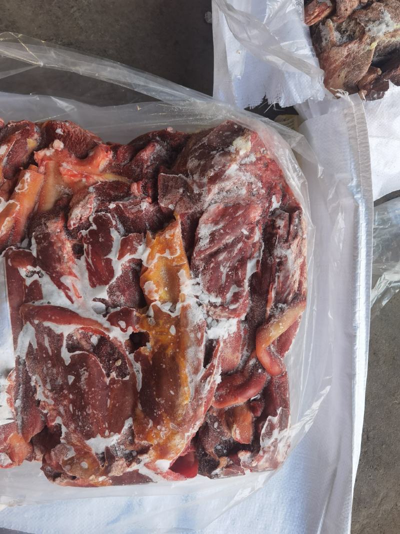 精品马腱子，活马鲜宰的，纯干货，精修去油