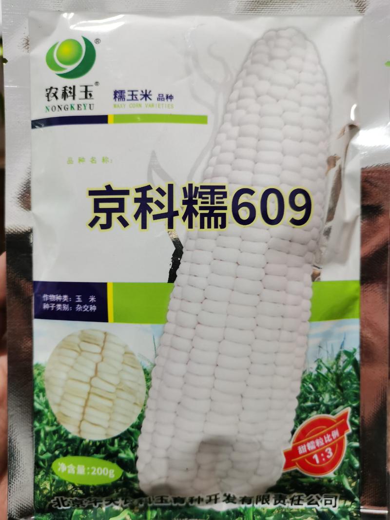国审京科糯609加甜大棒鲜食玉米种子1：3