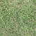 大量精品马尼拉供应