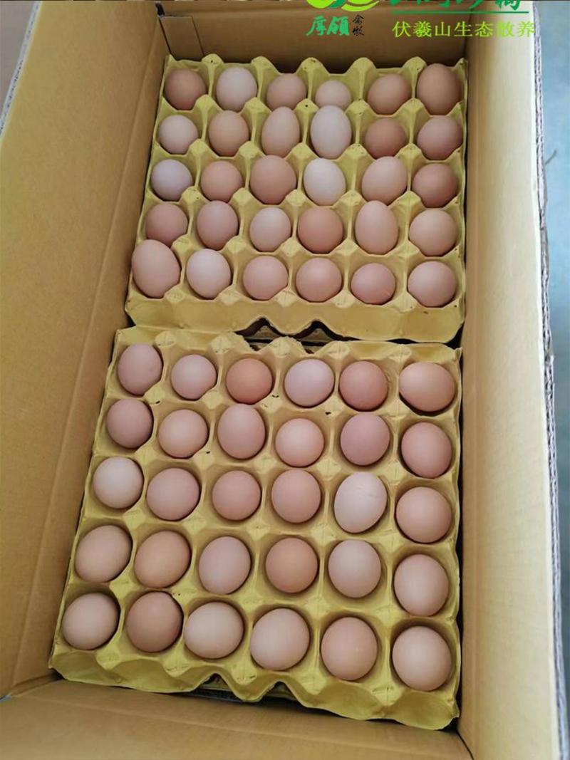 会销旅游蛋，小码土鸡蛋初生蛋，360枚净重20-30斤