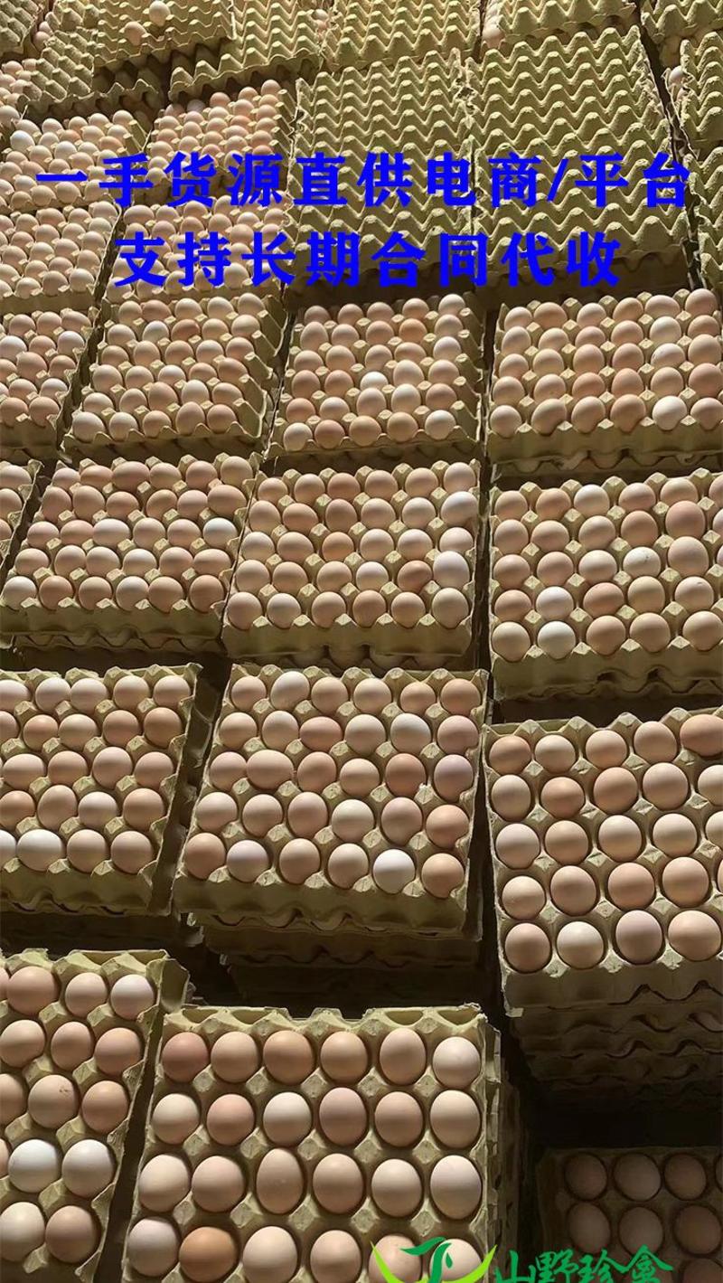 会销旅游蛋，小码土鸡蛋初生蛋，360枚净重20-30斤
