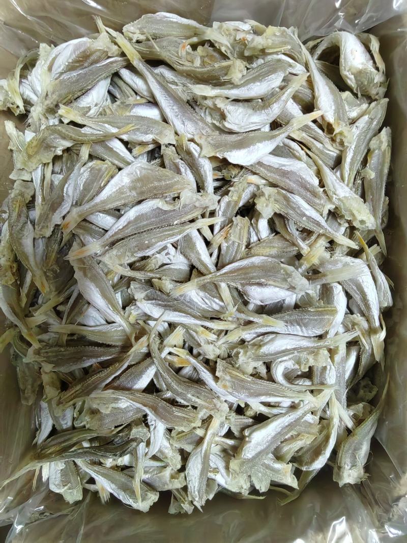 深海白姑鱼，鱼身白干净肉质好淡香咸淡适中