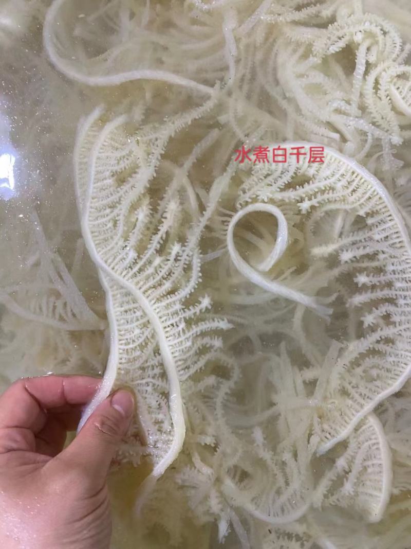 水煮白千层毛肚，火锅自助餐经典菜品，丝丝爽滑，细腻美味