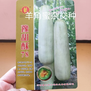 豫甜酥78甜瓜种子早熟肉质酥脆果肉绿色橙红瓤18糖