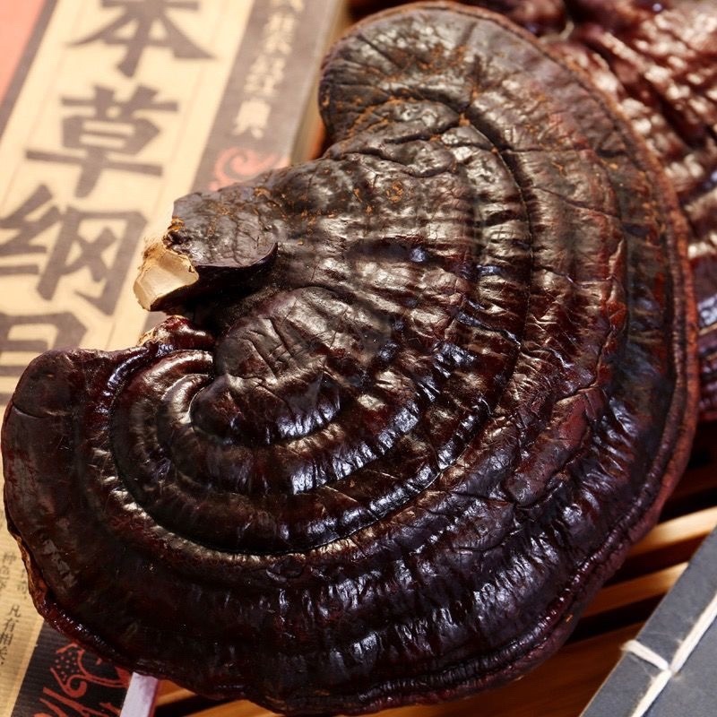 冻干灵芝品质上乘规格齐全价格实惠欢迎咨询联系
