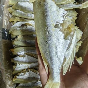 晒干鱼香浓郁扒皮海产剥皮鱼干目鱼干去头大眼鸡水产干货