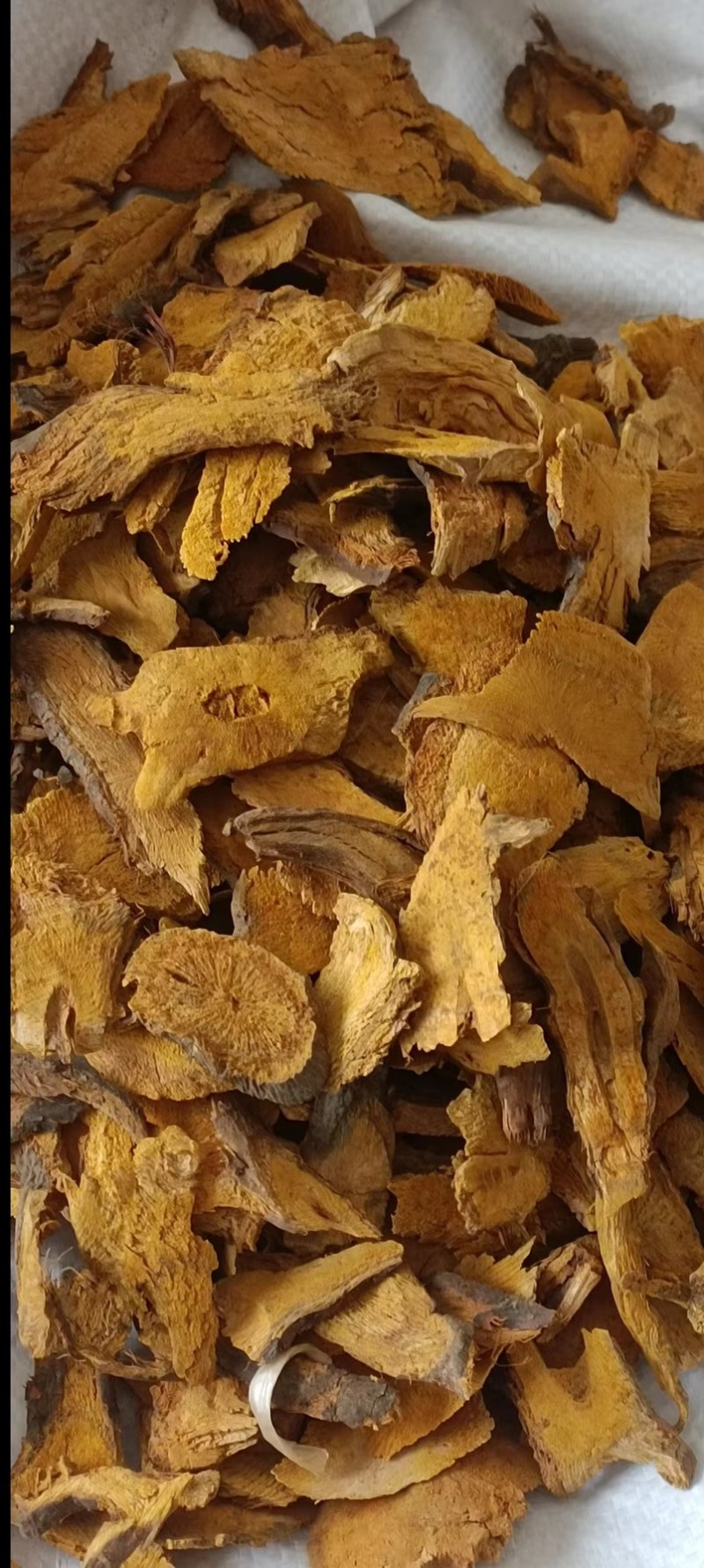 野生虎杖，大货、粉尘不超，含量足够，符合药典，可代加工粉