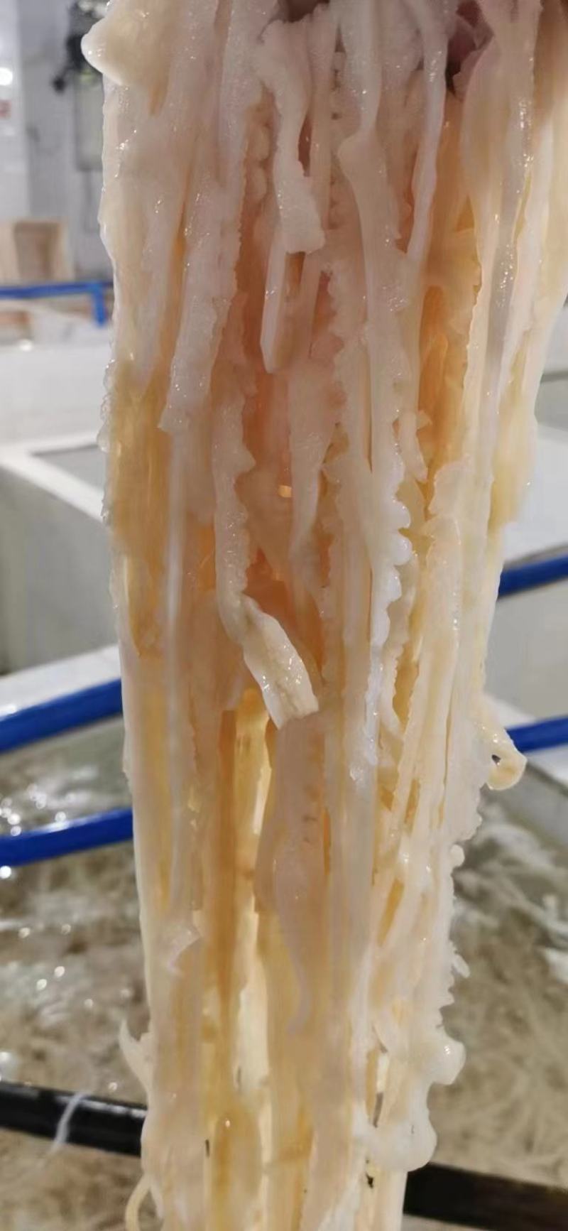 爽脆肚丝，香脆可口，好品质低价格，火锅，自助餐新搭档