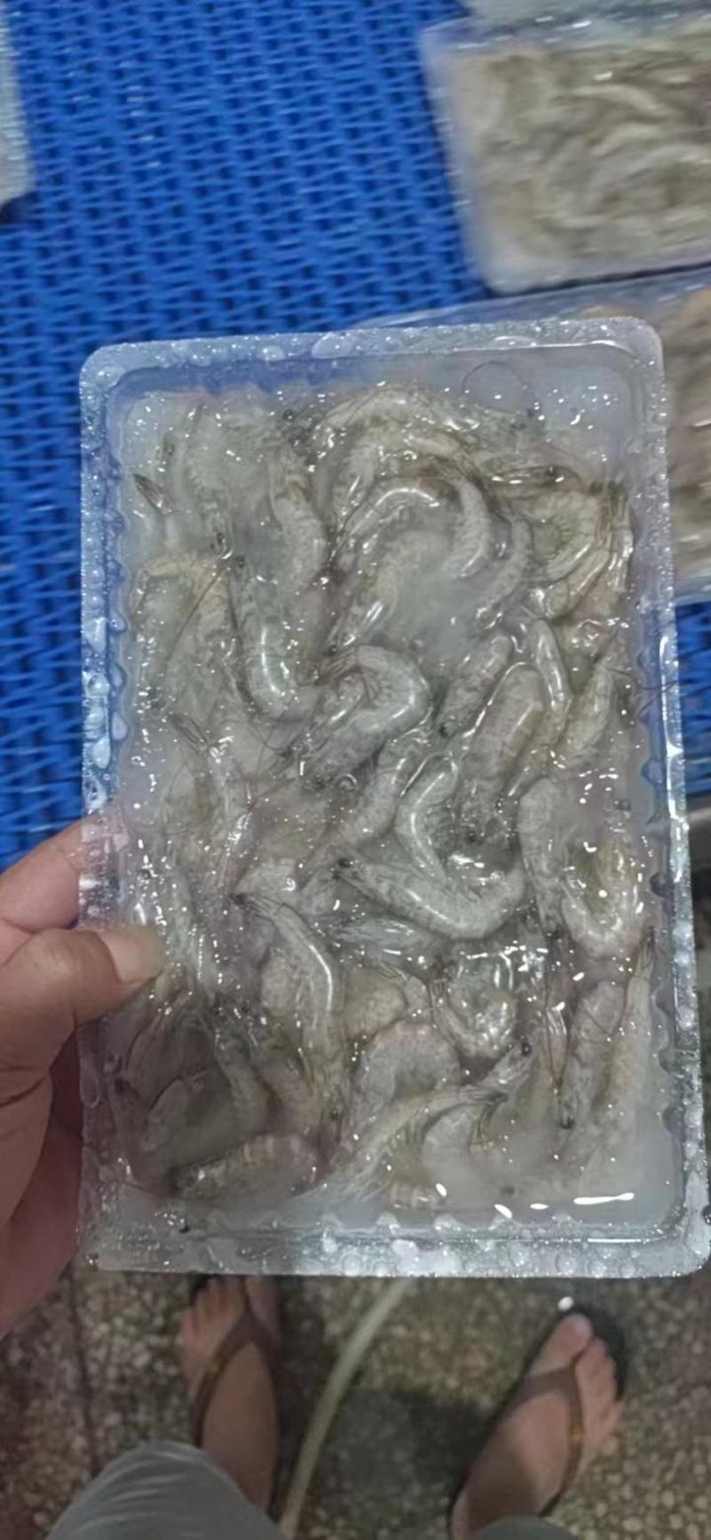 湛江本土出产精品小海虾，可订制，价格实惠，厂家直销。