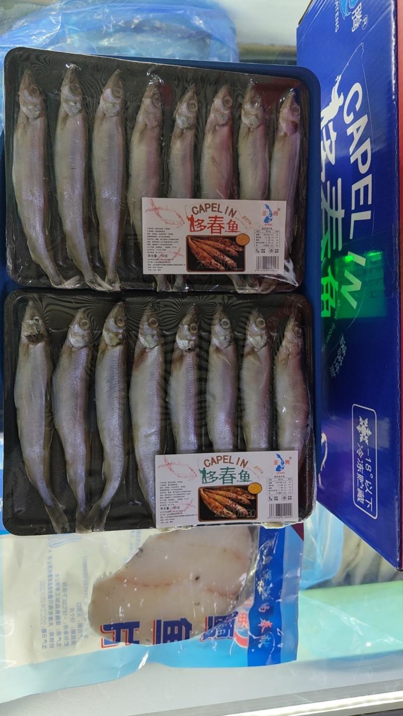 冰岛原料多春鱼母体全规格粒粒饱满