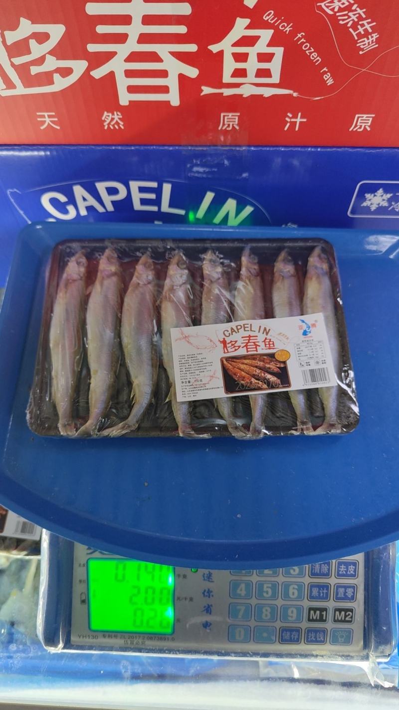 冰岛原料多春鱼母体全规格粒粒饱满