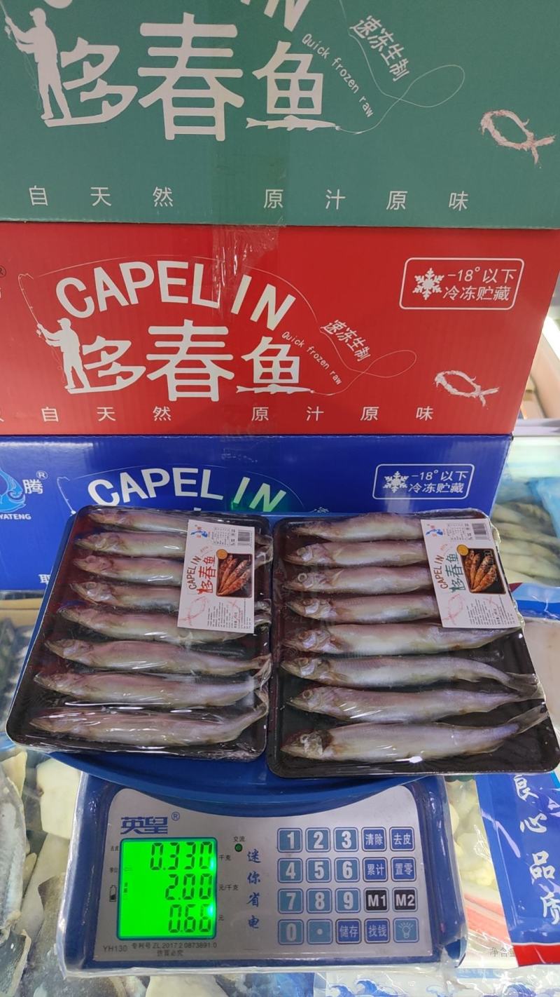 冰岛原料多春鱼母体全规格粒粒饱满