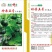贝贝南瓜种子珍栗五号皮色墨绿色口感糯粉香甜