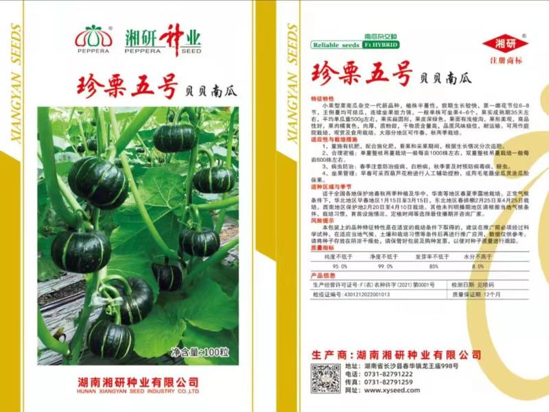 贝贝南瓜种子珍栗五号皮色墨绿色口感糯粉香甜