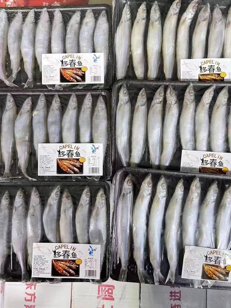 冰岛原料多春鱼母体全规格粒粒饱满