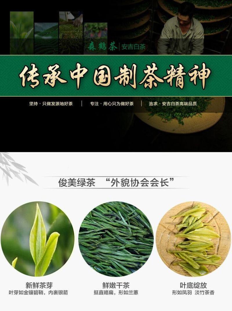 安吉白茶新茶原产地雨前特级125克森鹤茶叶欢迎下单