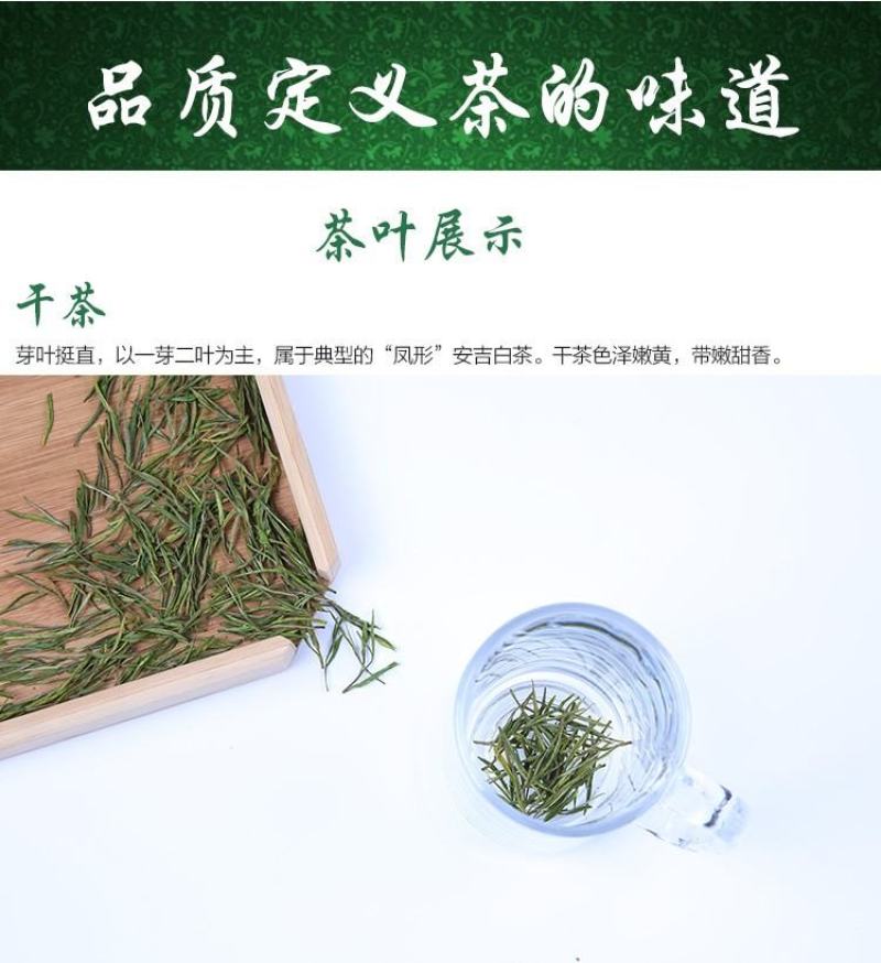 安吉白茶新茶原产地雨前特级125克森鹤茶叶欢迎下单