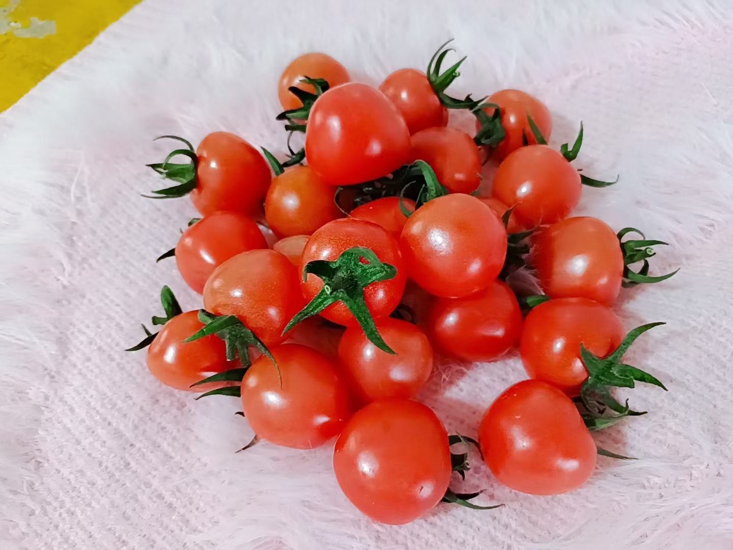 普罗旺斯西红柿与香草搭配图