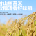 抹嘴侠广式腊味三宝煲仔饭，鲜香方便，对接一件代发