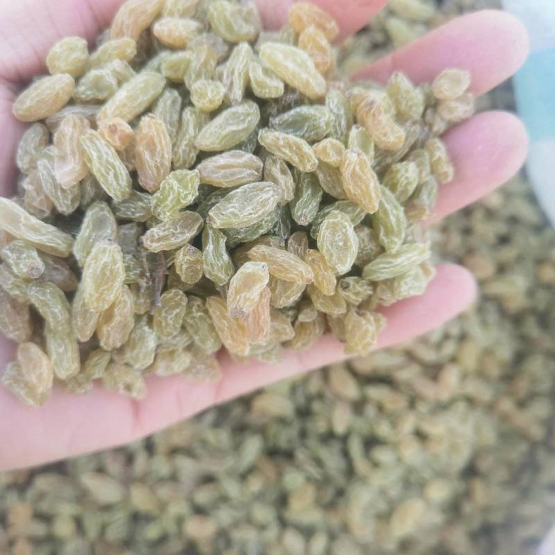 小颗粒葡萄干，针对奶茶店