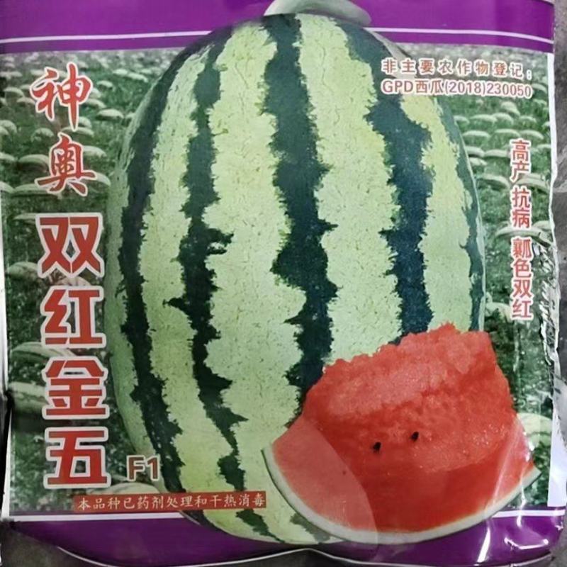 双红金五西瓜种子品质大果甜如初恋高回购咨询有优惠