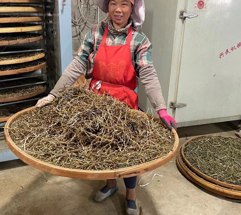 基地直发铁皮石斛干条铁皮枫斗霍山石斛铁皮石斛寸条