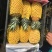 牛奶凤梨
