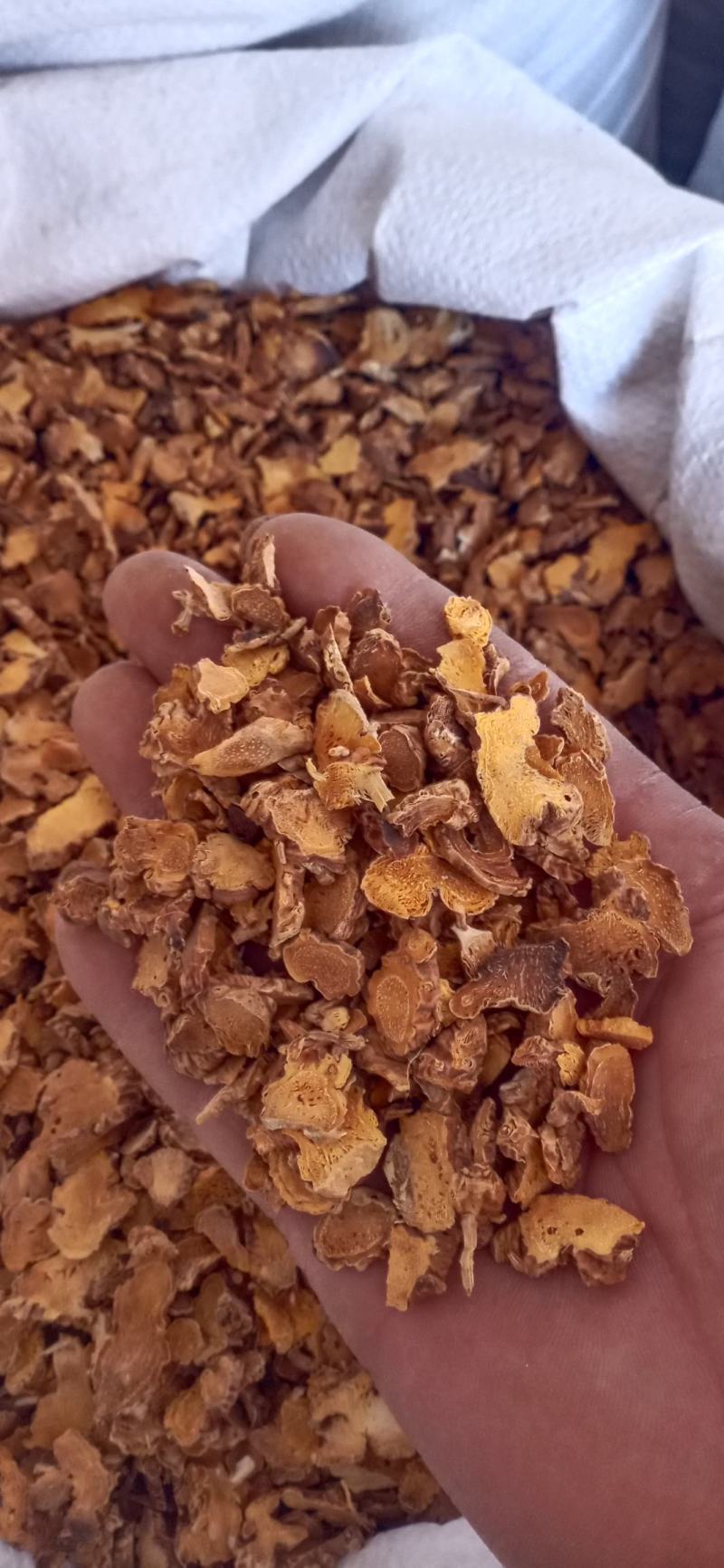 【射干】保质保量.一手货源大货供应.规格齐全量大优惠