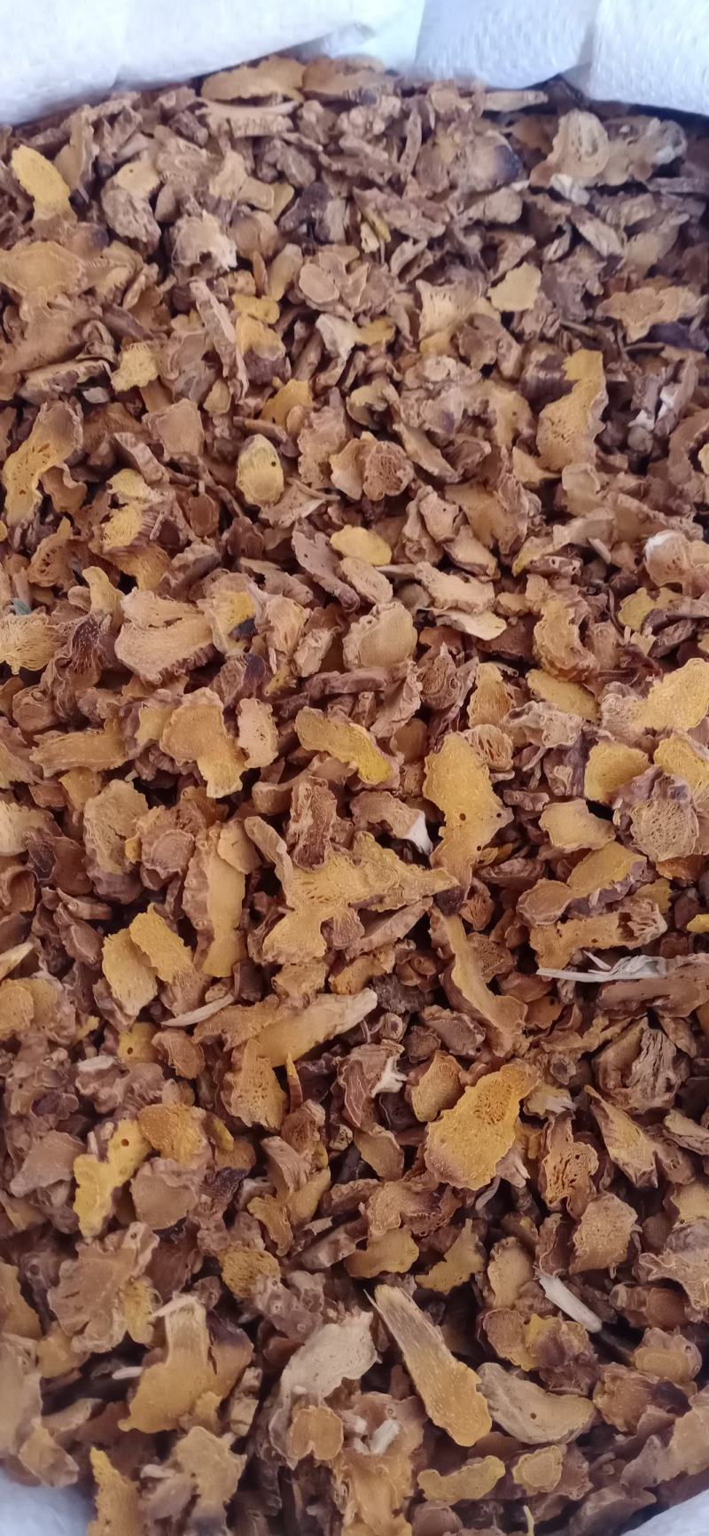【射干】保质保量.一手货源大货供应.规格齐全量大优惠