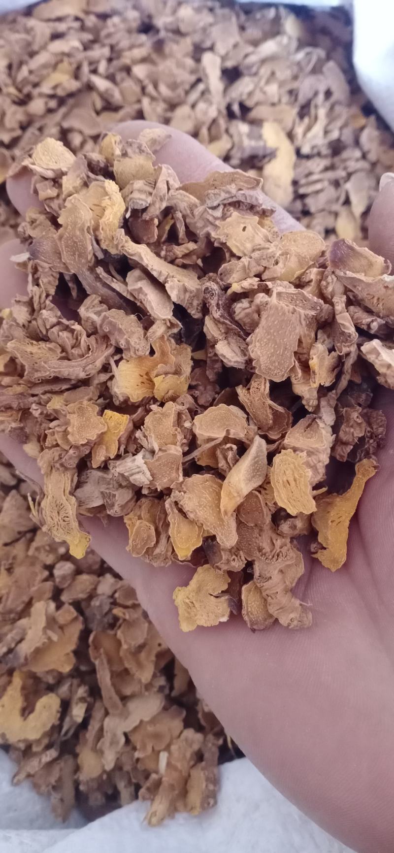 【射干】保质保量.一手货源大货供应.规格齐全量大优惠