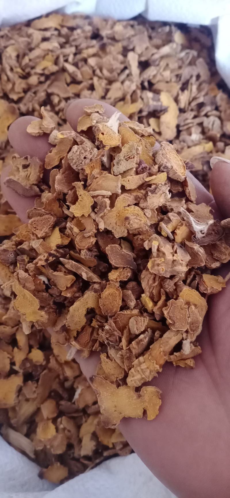 【射干】保质保量.一手货源大货供应.规格齐全量大优惠
