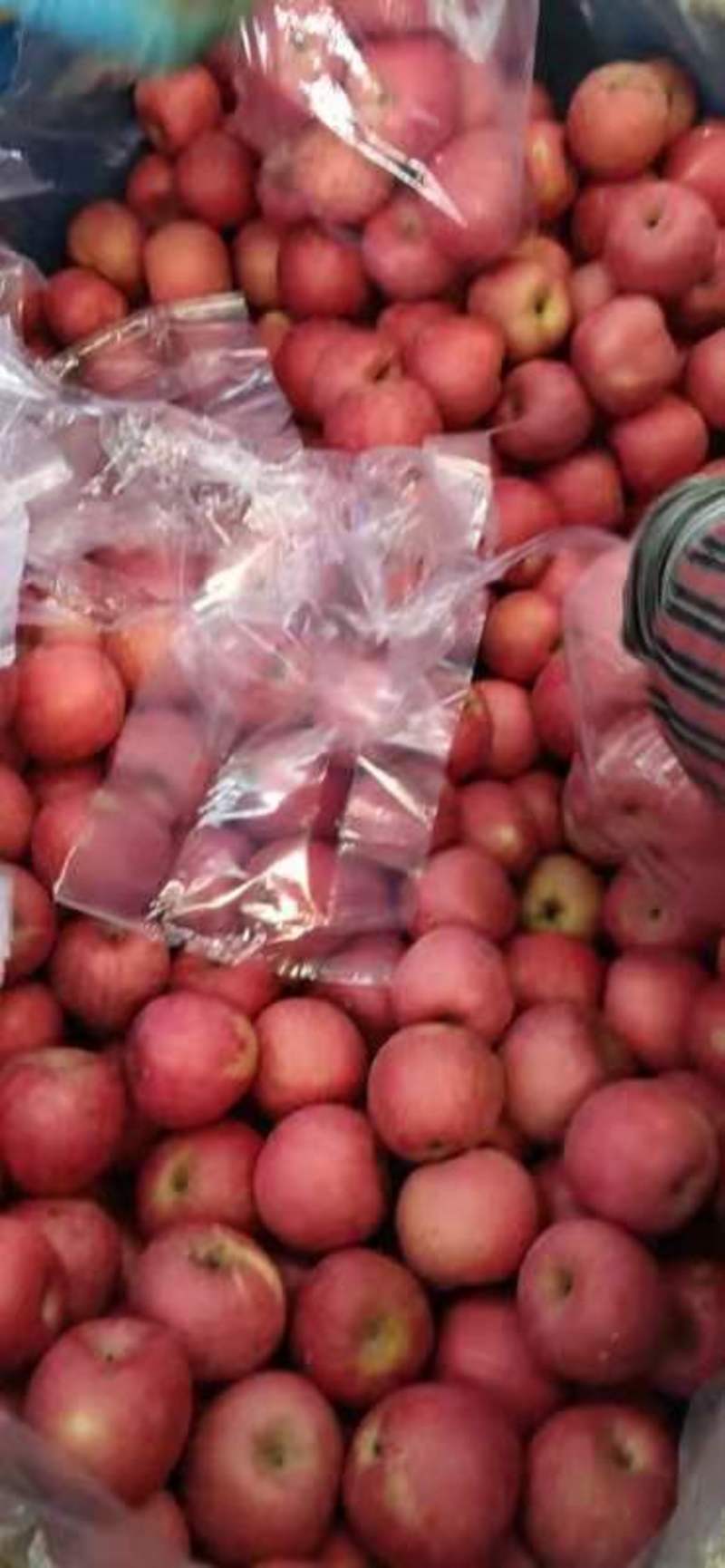 烟台栖霞苹果，规格全，代存代收，全年有货，需要可实地考察