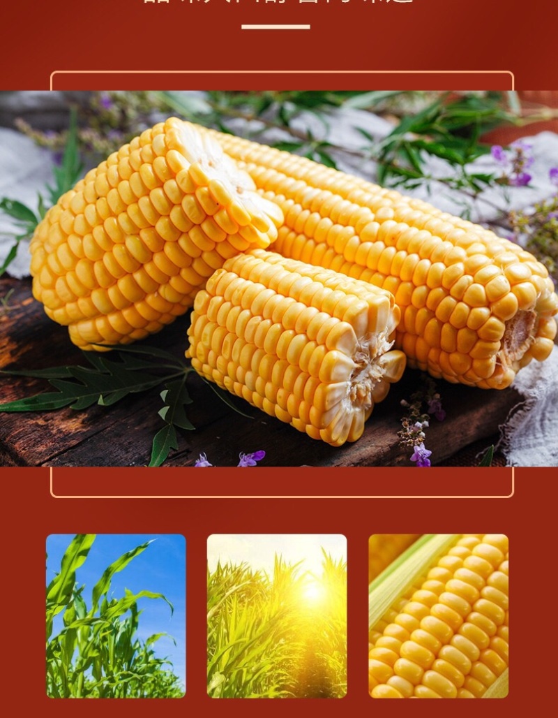 饱腹玉米糊批发袋装
