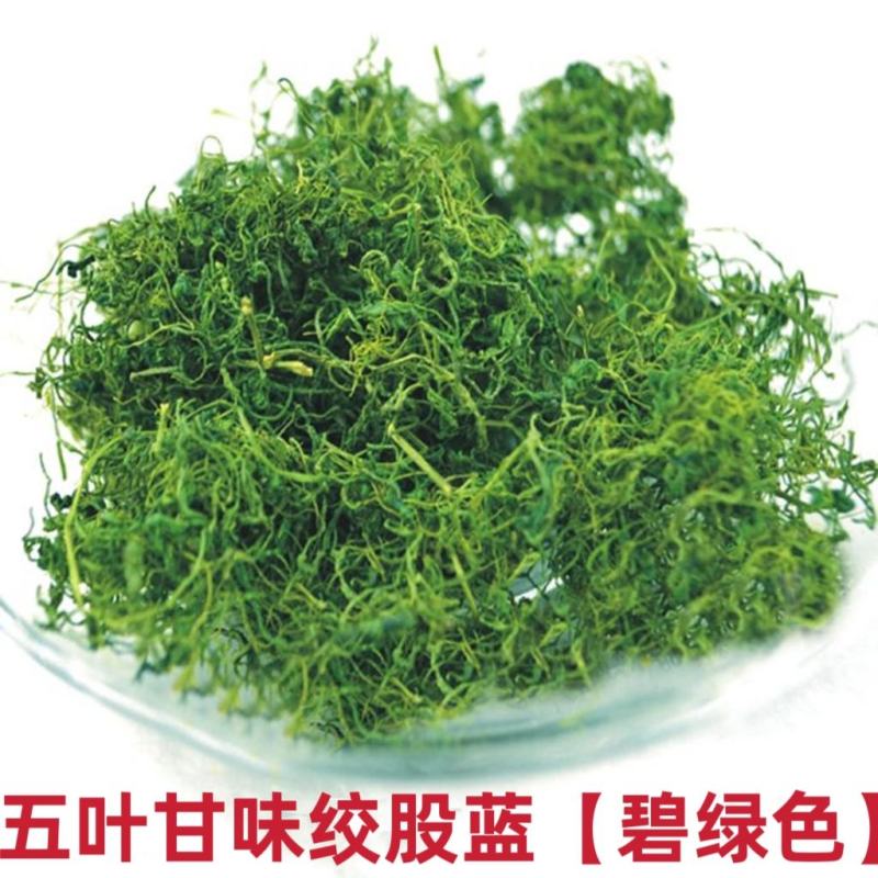 【平利县发货】野生七叶苦味绞股蓝龙须绞股蓝嫩叶嫩芽包邮