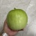 新型杂交香芋冬瓜泰丰香芋小冬瓜种子香味浓郁肉质清甜