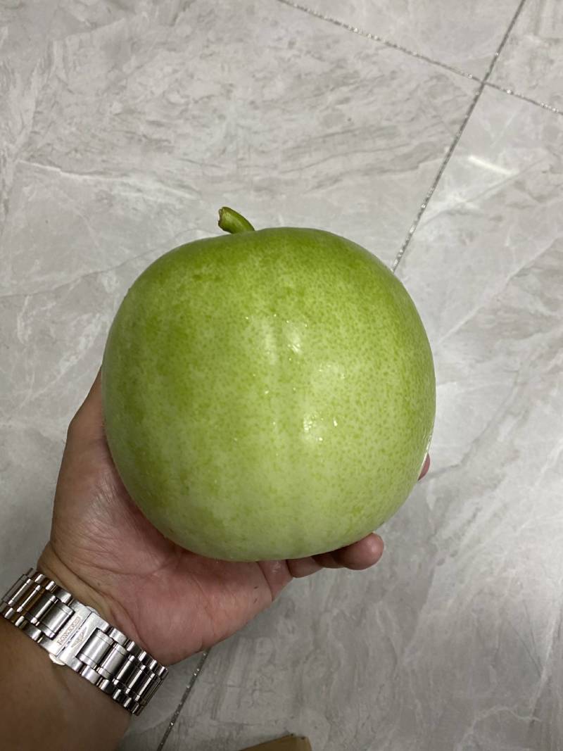 新型杂交香芋冬瓜泰丰香芋小冬瓜种子香味浓郁肉质清甜