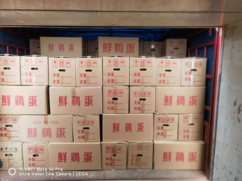 【红壳鸡蛋】批发43-45斤，基地直发，全国发货