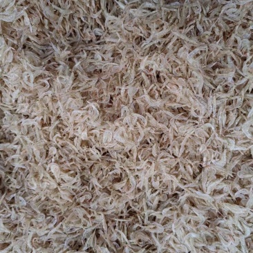 虾皮