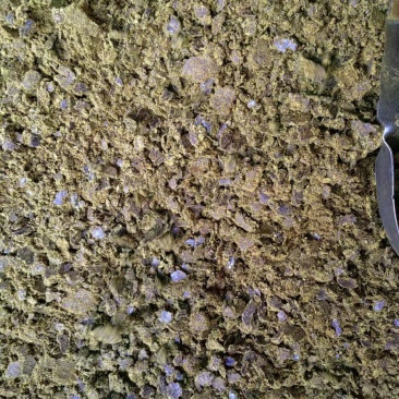优质棉籽饼，养殖增肥专用，新疆棉籽，供应充足！