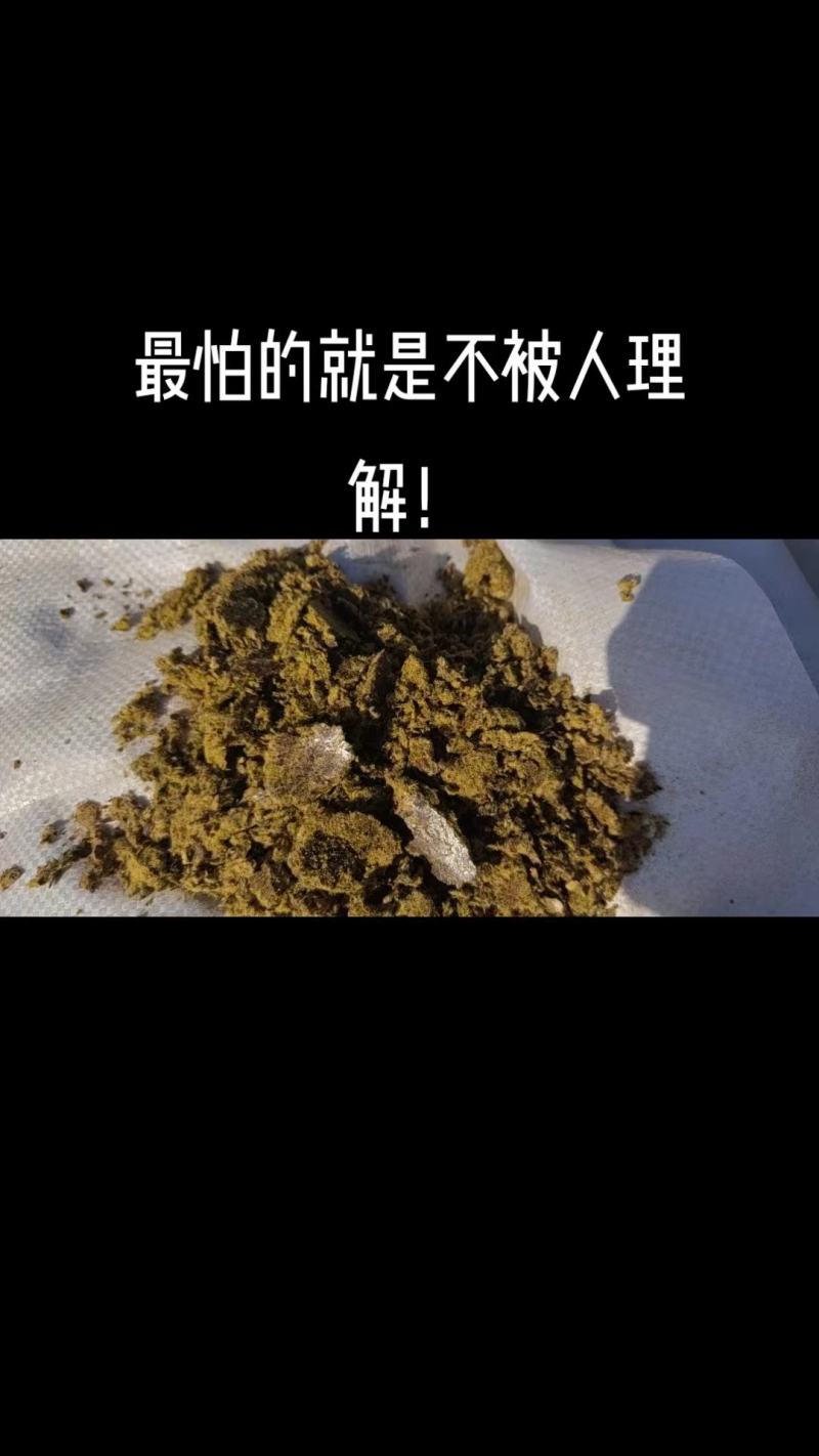棉籽饼