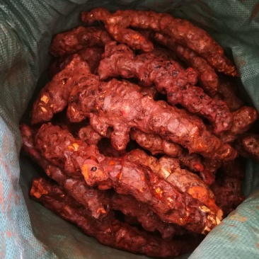 云南白肉土茯苓