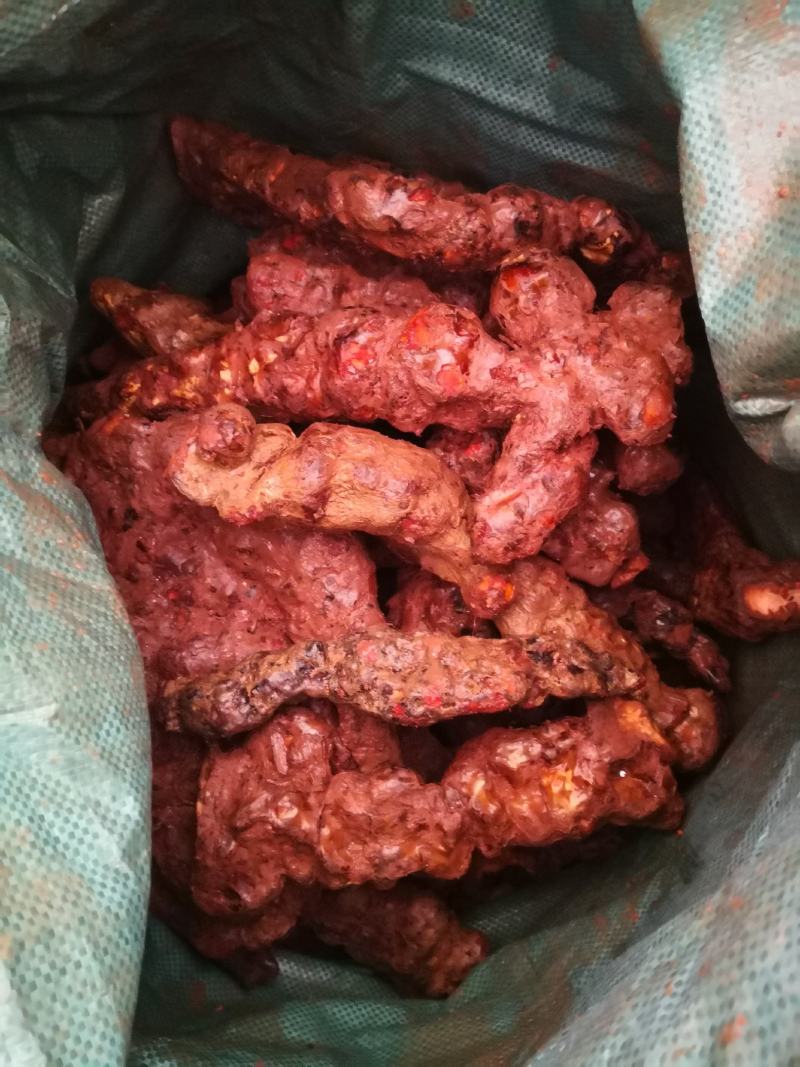 云南白肉土茯苓