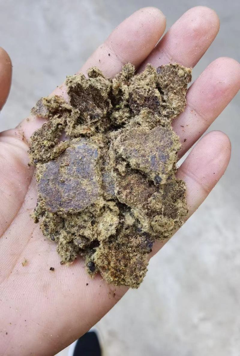 棉籽饼！反刍动物可直接喂食，欢迎咨询，，