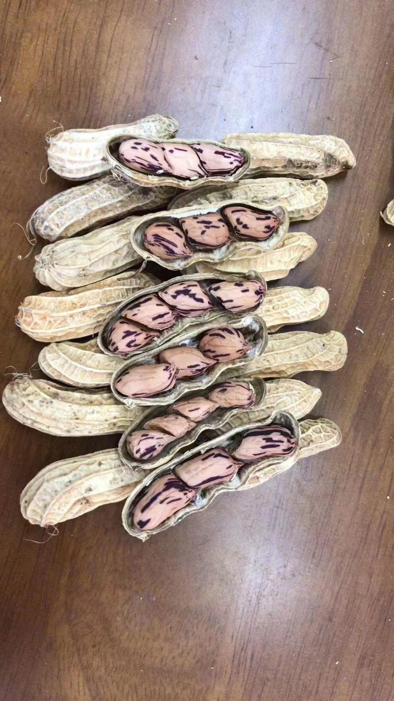 七彩花生云南特产牛奶花生米养胃可生吃