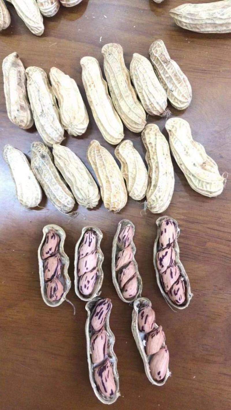 七彩花生云南特产牛奶花生米养胃可生吃