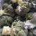 湖北西兰花，大量有货，视频看货，价格优惠，可供超市，电商