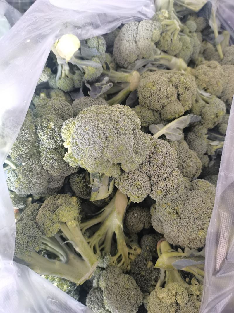 湖北西兰花，大量有货，视频看货，价格优惠，可供超市，电商