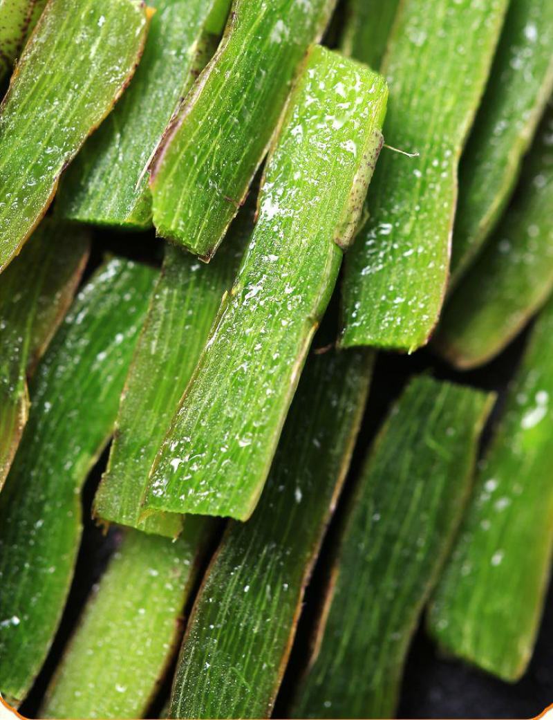 鲜石斛精品石斛食用榨汁鲜条新鲜食材500克