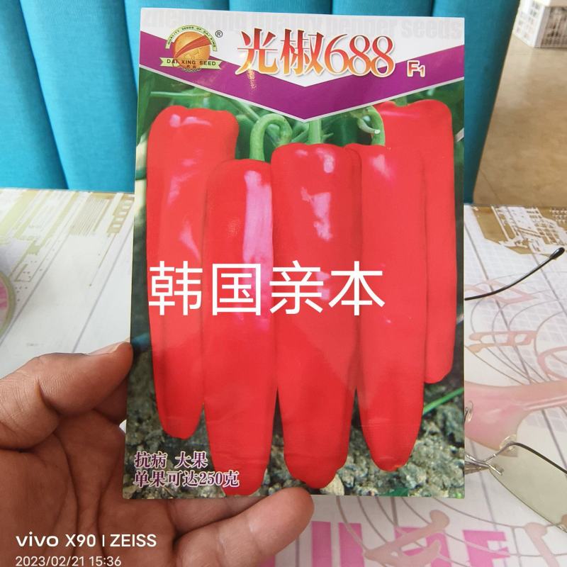 光椒688F1红椒种子早中熟腔小红果不软250克果直面光